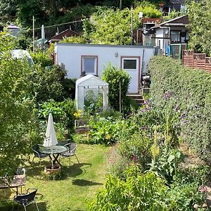 Blick Ins Gruene, Nah Am Zentrum